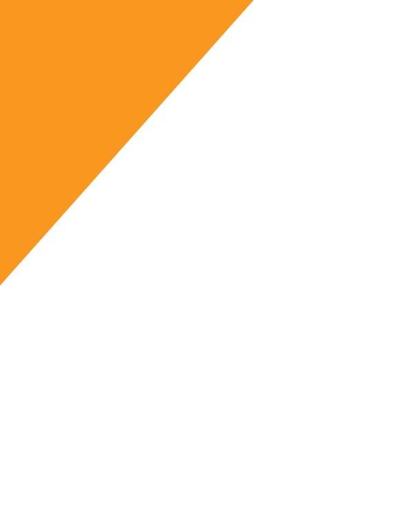 orange-cone