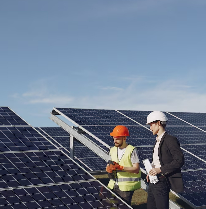 environmental stewardship